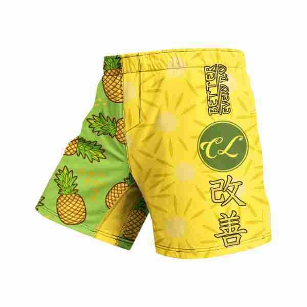 Gym Boxing Fighting Casual Fashion Shorts